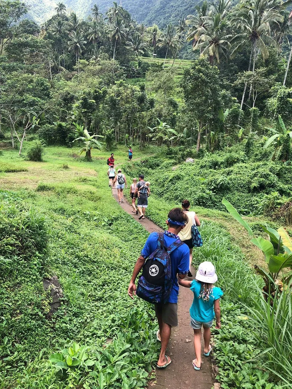 Lush jungle trekking route to Sekumpul